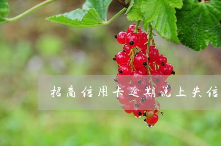 招商信用卡逾期说上失信人员名单 招商信用卡逾期说上失信人员名单