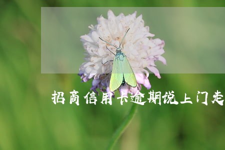 招商信用卡逾期说上门走访 招商信用卡逾期说上门走访