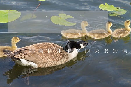 招商信用卡逾期说发短信上门取证