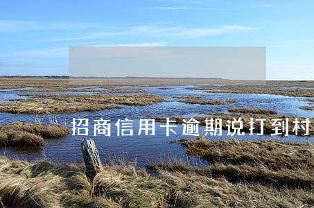 招商信用卡逾期说打到村委会 招商信用卡逾期说打到村委会