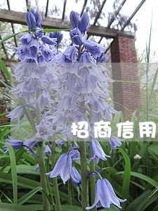 招商信用卡逾期说要寄催款函 招商信用卡逾期说要寄催款函