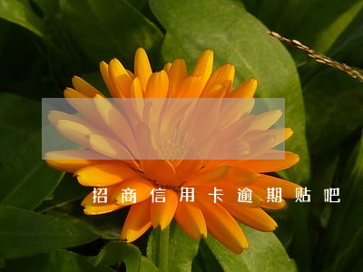 招商信用卡逾期贴吧 招商信用卡逾期贴吧
