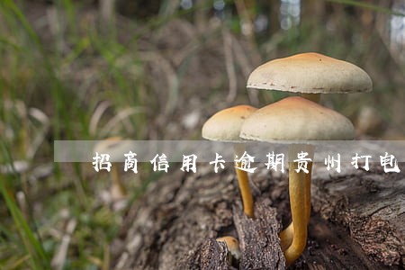 招商信用卡逾期贵州打电话