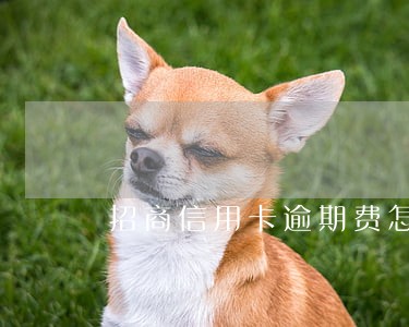 招商信用卡逾期费怎么算 招商信用卡逾期费怎么算
