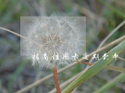 招商信用卡逾期费率 招商信用卡逾期费率
