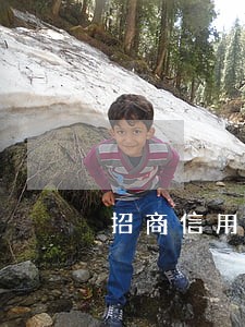 招商信用卡逾期起诉后