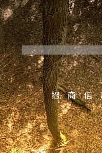 招商信用卡逾期超过3个月 招商信用卡逾期超过3个月