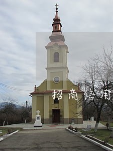 招商信用卡逾期转入账务部门 招商信用卡逾期转入账务部门