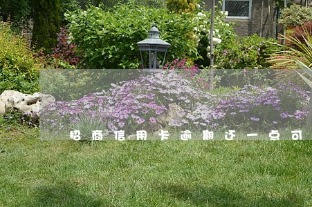 招商信用卡逾期还一点可以吗 招商信用卡逾期还一点可以吗