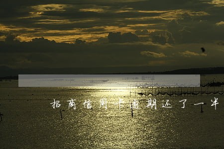 招商信用卡逾期还了一半 招商信用卡逾期还了一半