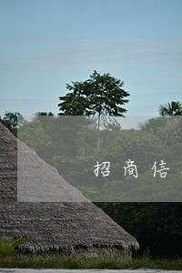 招商信用卡逾期还最低还款 招商信用卡逾期还最低还款