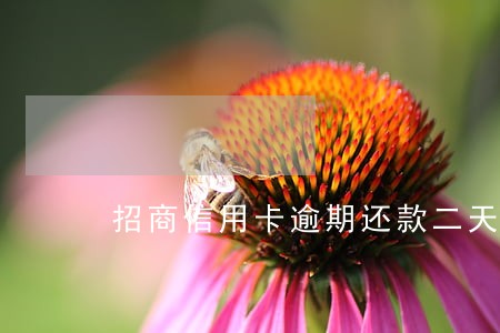 招商信用卡逾期还款二天 招商信用卡逾期还款二天