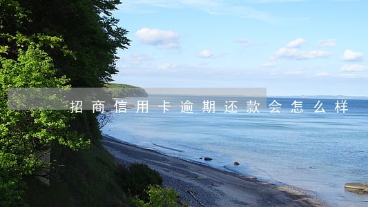 招商信用卡逾期还款会怎么样