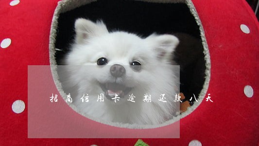 招商信用卡逾期还款八天