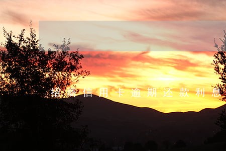 招商信用卡逾期还款利息