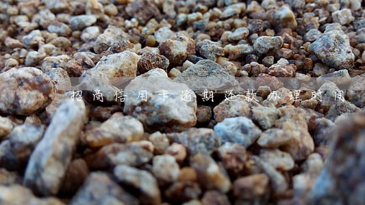 招商信用卡逾期还款办理时间