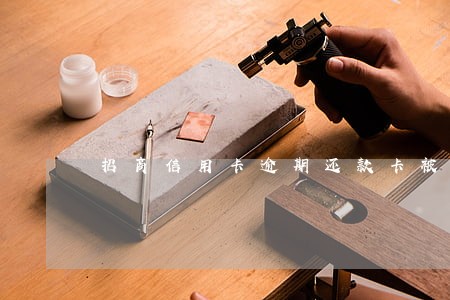 招商信用卡逾期还款卡被冻结