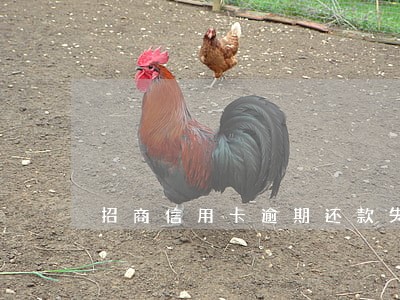 招商信用卡逾期还款失败 招商信用卡逾期还款失败