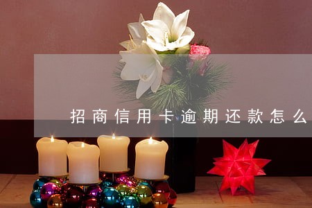 招商信用卡逾期还款怎么样