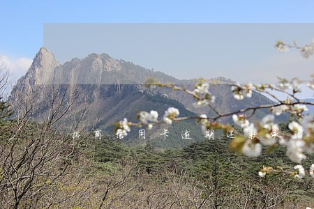 招商信用卡逾期还款承诺书 招商信用卡逾期还款承诺书