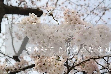 招商信用卡逾期还款有利息吗 招商信用卡逾期还款有利息吗