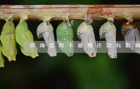 招商信用卡逾期还款有影响吗 招商信用卡逾期还款有影响吗