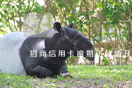 招商信用卡逾期还款能开通