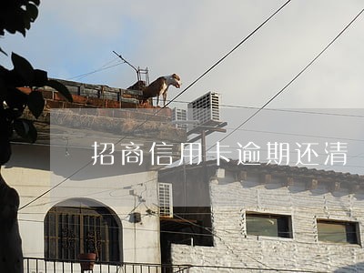 招商信用卡逾期还清
