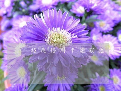 招商信用卡逾期还清后 招商信用卡逾期还清后