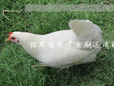 招商信用卡逾期还清解冻