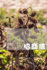 招商信用卡逾期还能分期吗 招商信用卡逾期还能分期吗