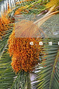 招商信用卡逾期还能办卡吗 招商信用卡逾期还能办卡吗