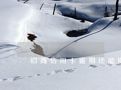招商信用卡逾期还能提额吗 招商信用卡逾期还能提额吗