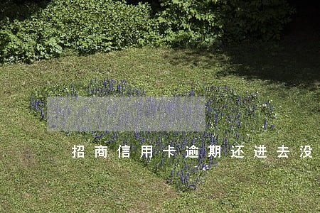 招商信用卡逾期还进去没入账 招商信用卡逾期还进去没入账