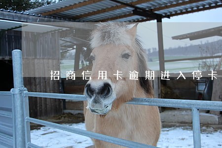 招商信用卡逾期进入停卡部怎么弄 招商信用卡逾期进入停卡部怎么弄
