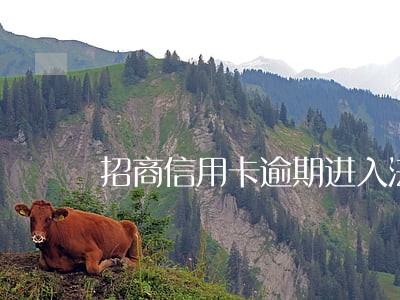 招商信用卡逾期进入法务部了
