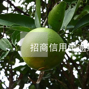 招商信用卡逾期违约金减免 招商信用卡逾期违约金减免