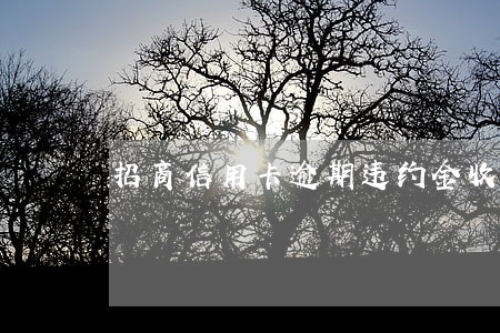 招商信用卡逾期违约金收多久 招商信用卡逾期违约金收多久