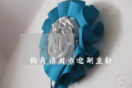 招商信用卡逾期重新