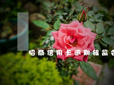 招商信用卡逾期银监会协商 招商信用卡逾期银监会协商