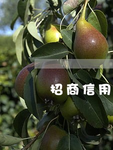 招商信用卡逾期销卡开不了 招商信用卡逾期销卡开不了