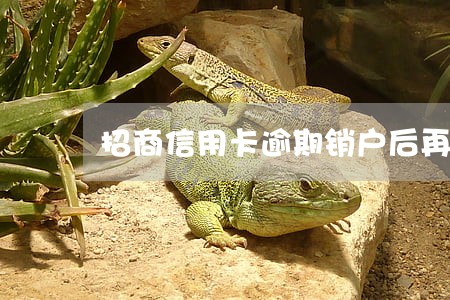 招商信用卡逾期销户后再申请