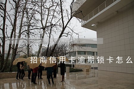 招商信用卡逾期锁卡怎么解 招商信用卡逾期锁卡怎么解