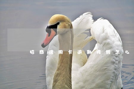 招商信用卡逾期降额怎么办 招商信用卡逾期降额怎么办