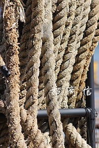 招商信用卡逾期需要流水 招商信用卡逾期需要流水