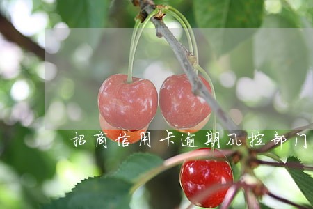招商信用卡逾期风控部门打电话