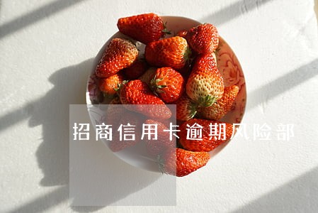 招商信用卡逾期风险部 招商信用卡逾期风险部