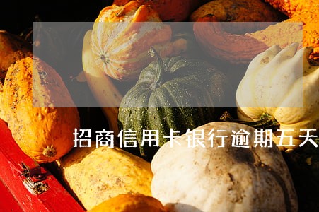 招商信用卡银行逾期五天