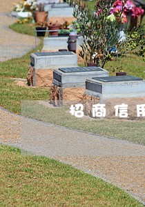 招商信用卡预借现金逾期还不上