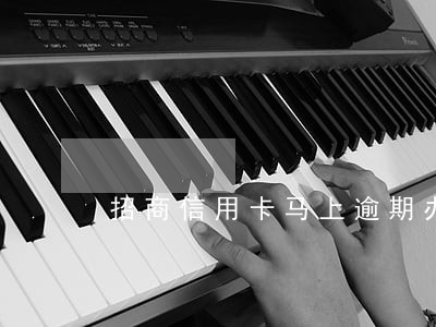 招商信用卡马上逾期办不了分期 招商信用卡马上逾期办不了分期